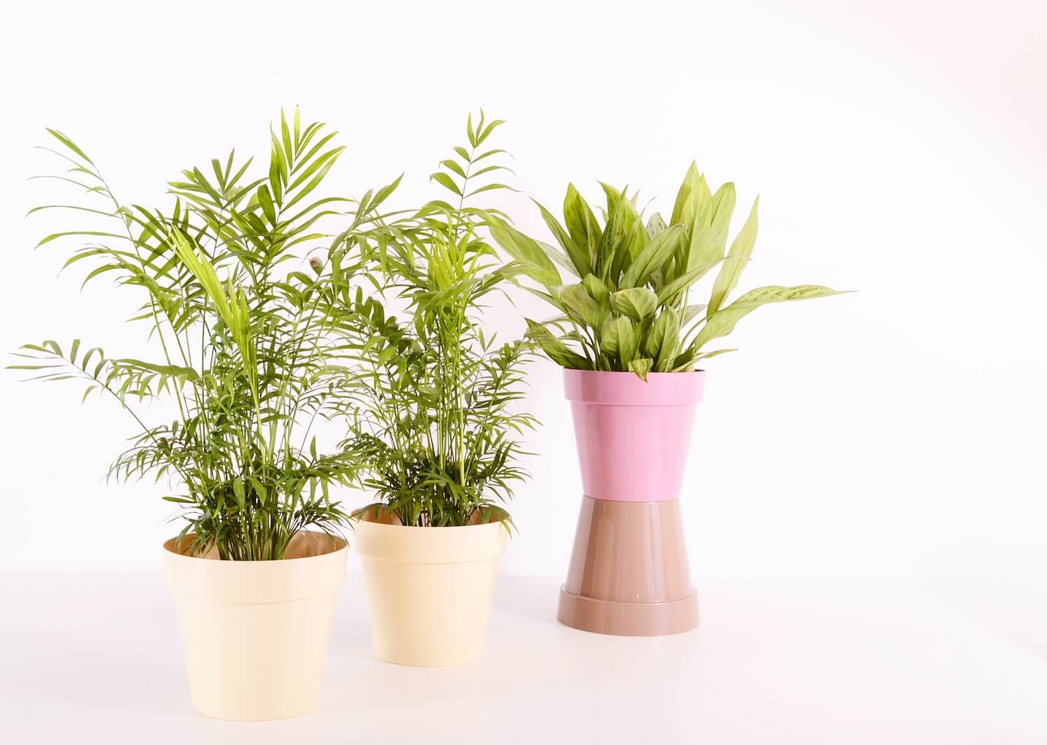 Jak dbać o sztuczne rośliny?